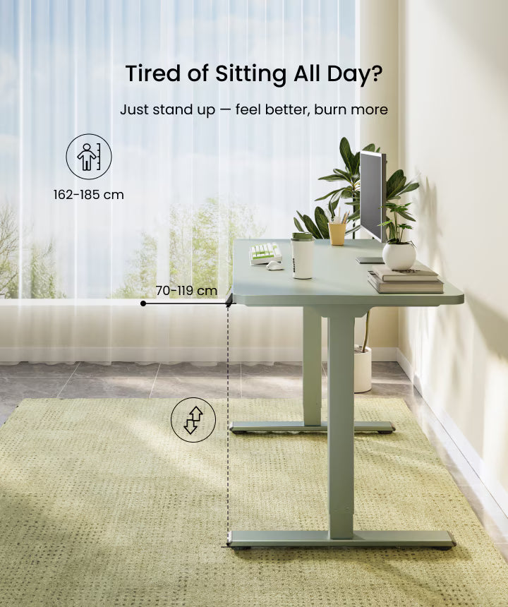 Neva X FlexiSpot E1 Pro Electric Standing Desk ( Dual Motor ) – product image 14