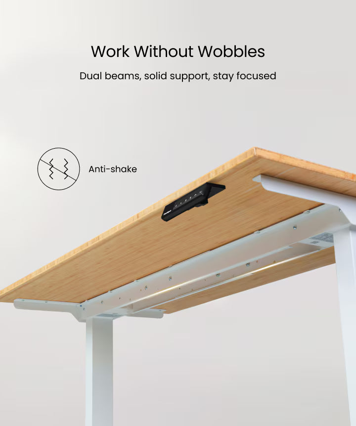 Neva X FlexiSpot E5 Electric Pro Standing Desk ( Dual Motor 3 Stage ) – product image 11