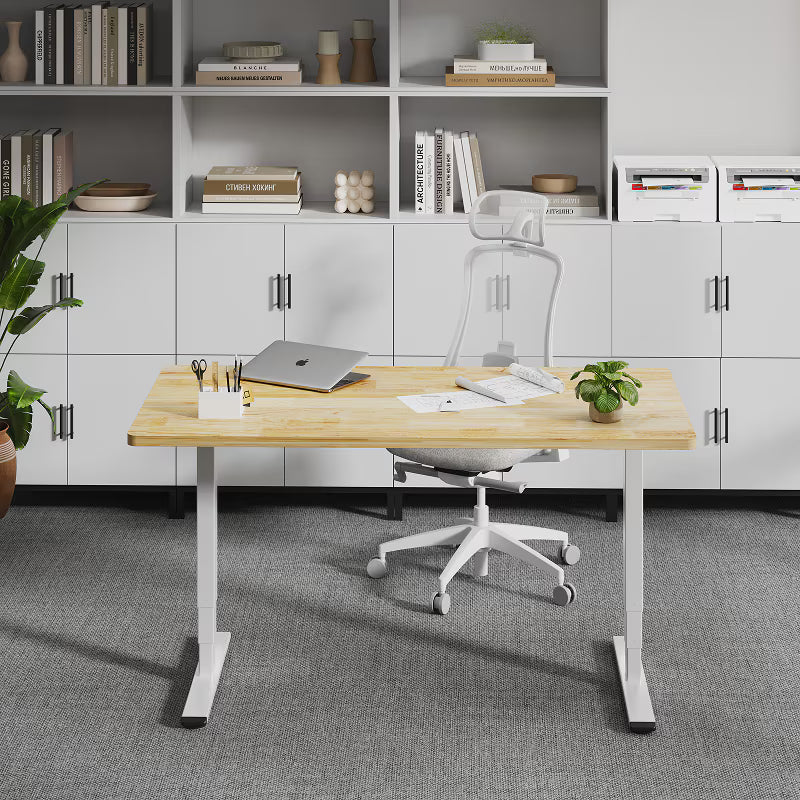 Neva X FlexiSpot E5 Electric Pro Standing Desk ( Dual Motor 3 Stage ) – product image 7