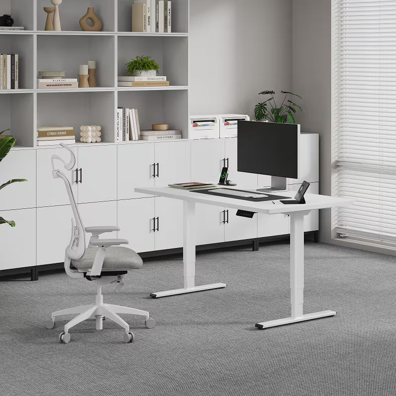 Neva X FlexiSpot E5 Electric Pro Standing Desk ( Dual Motor 3 Stage ) – product image 9