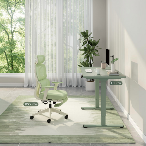Neva X FlexiSpot E1 Pro Electric Standing Desk ( Dual Motor ) – product image 2
