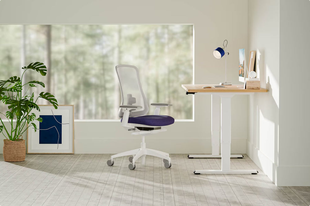 Neva X FlexiSpot E5 Electric Pro Standing Desk ( Dual Motor 3 Stage ) – product image 13