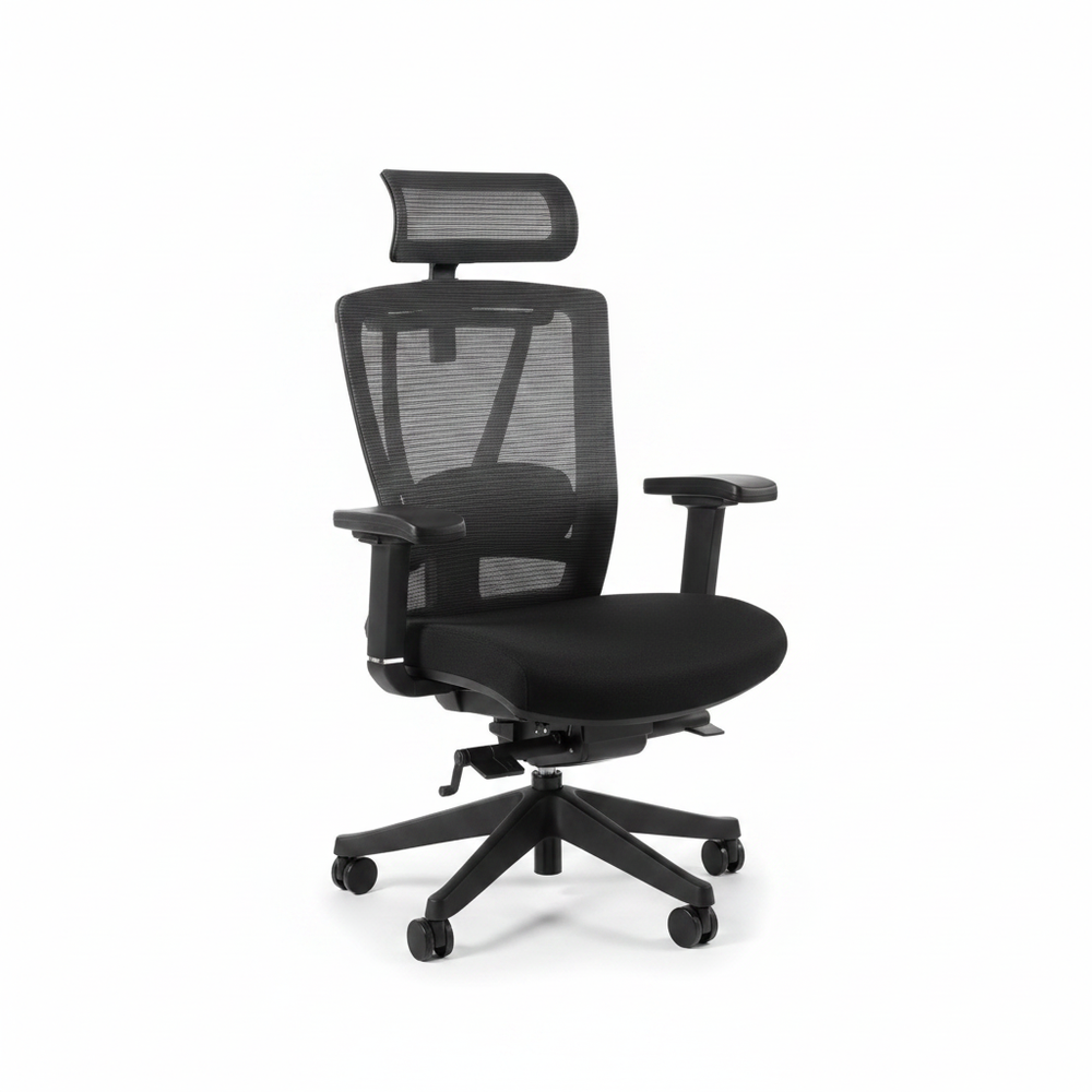 FlexiSpot BS14 ergonomic office chair in black