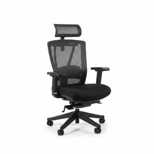 FlexiSpot BS14 ergonomic office chair in black