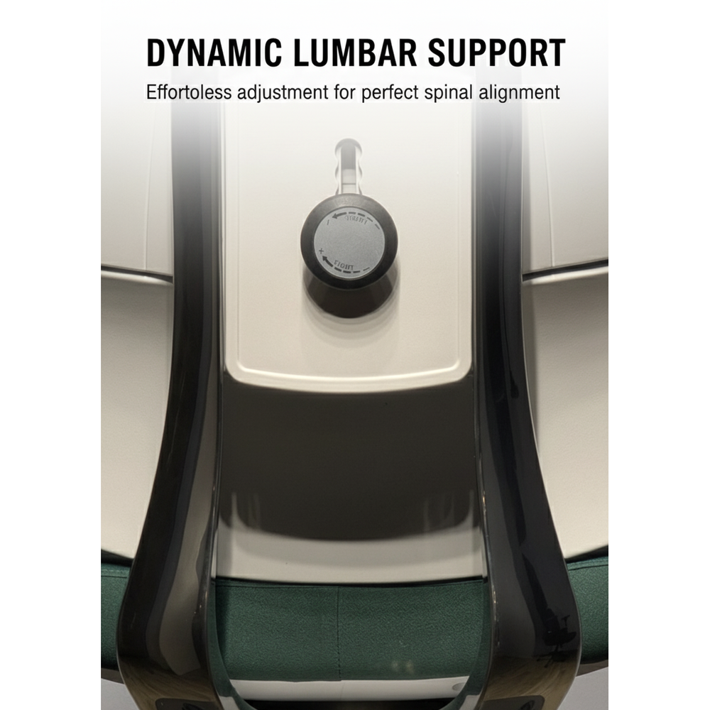 Neva Axis rear backrest detail graphic showing the central knob and polished support frame