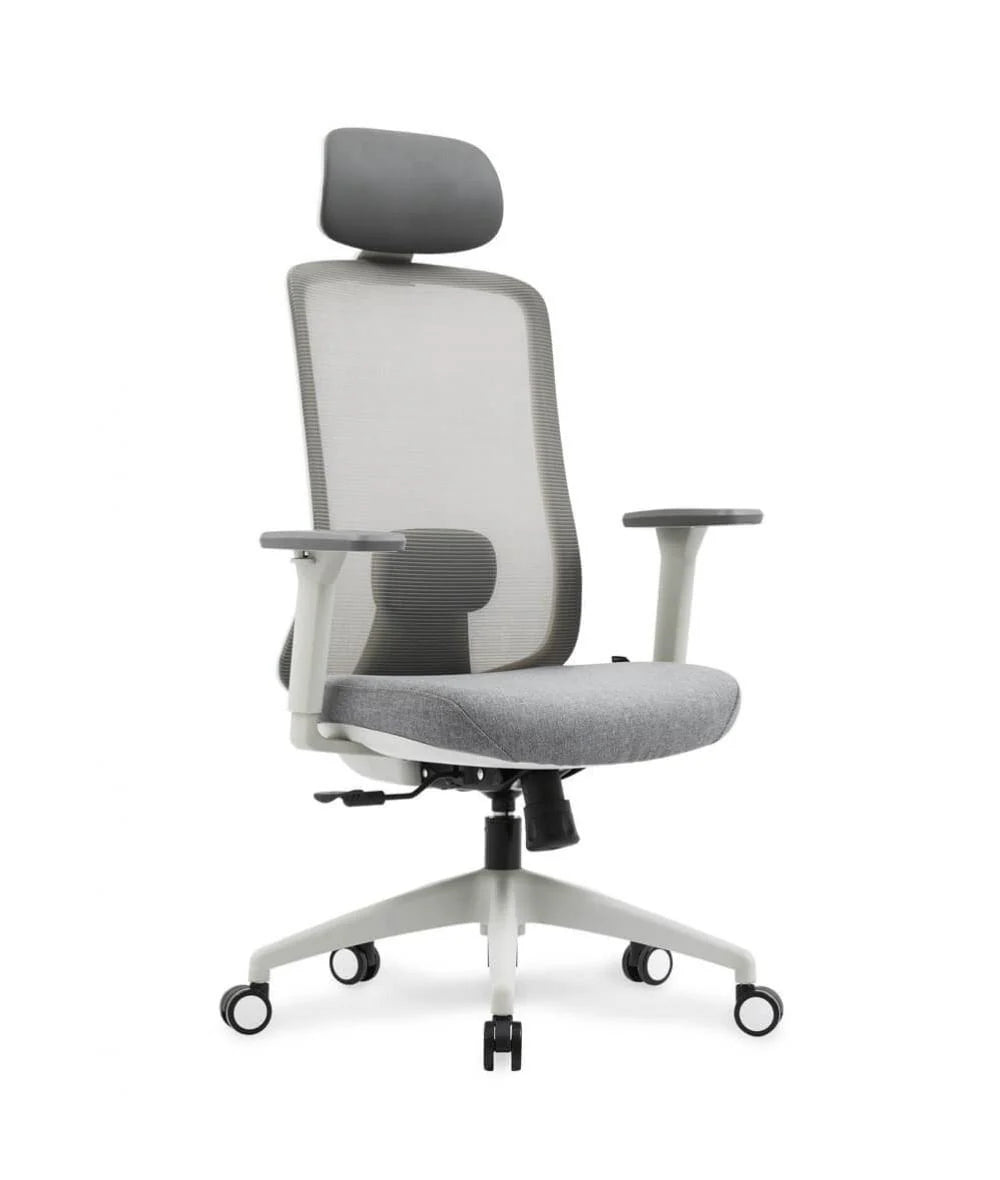 Neva Motion ergonomic task chair in grey