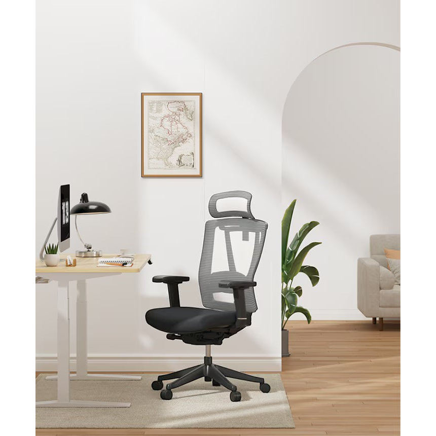 FlexiSpot ergonomic mesh office chair with adjustable headrest and lumbar support in black and grey