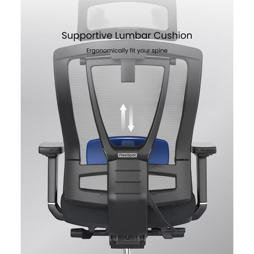 FlexiSpot BS14 rear lumbar-support diagram with the support highlighted in blue