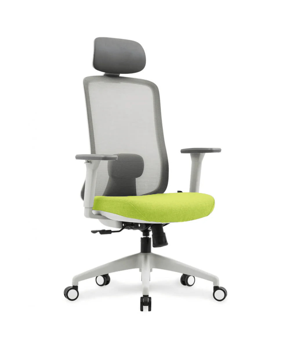 Neva Motion Ergonomic Task Chair – green finish