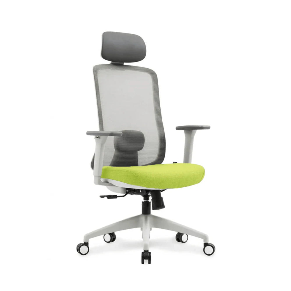 Neva Motion Ergonomic Task Chair – green finish