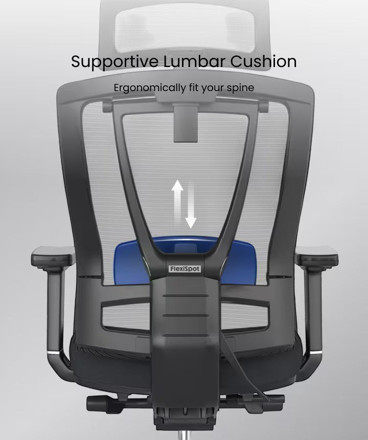 Neva Furniture ergonomic mesh office chair with adjustable blue lumbar support and headrest. Black frame.
