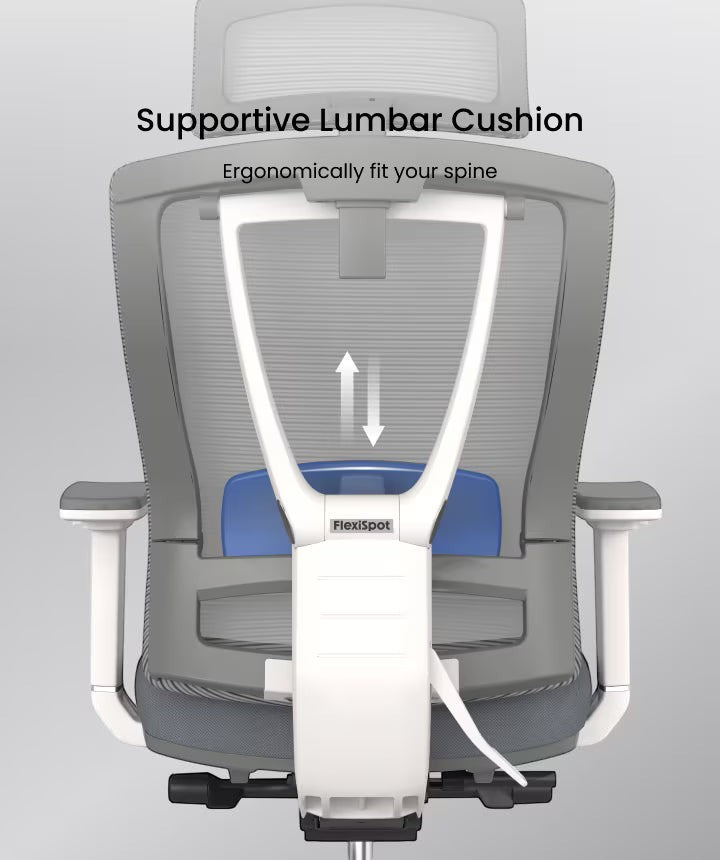 Neva Furniture ergonomic mesh office chair with adjustable lumbar support in grey and white