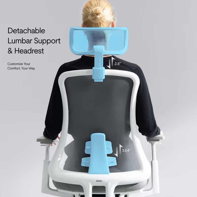Neva Furniture Sheer ergonomic office chair with adjustable blue lumbar support and headrest, shown from the back.