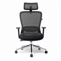Neva Elevate Ergonomic Chair