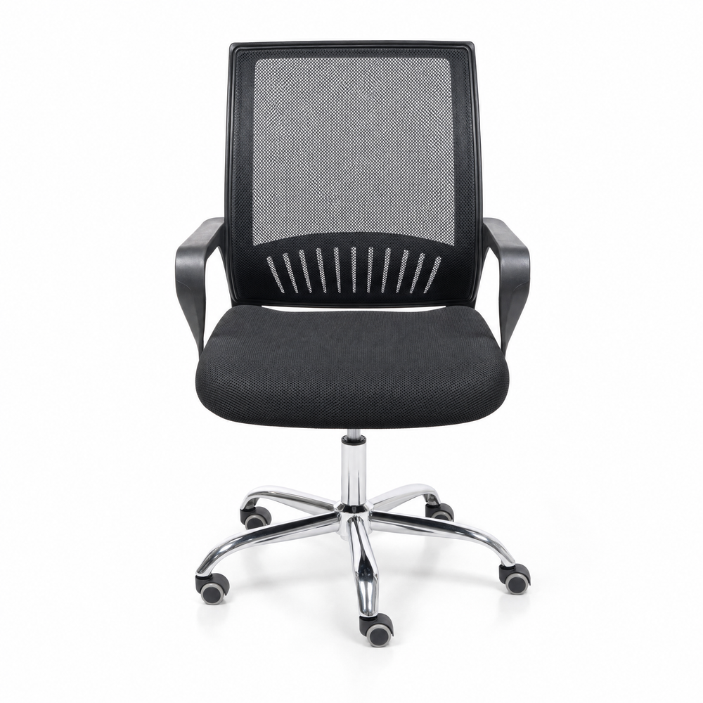 Neva Loop Ergonomic Chair