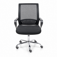 Neva Loop Ergonomic Chair