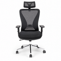 Neva Align Pro ergonomic office chair - front view