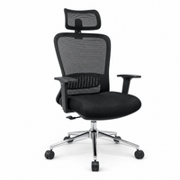 Neva Elevate Ergonomic Chair