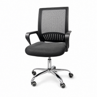 Neva Loop Ergonomic Chair