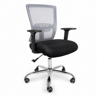 Neva Rise Ergonomic Chair
