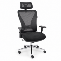 Neva Align Pro ergonomic office chair - three-quarter view