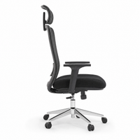 Neva Elevate Ergonomic Chair