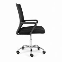 Neva Loop Ergonomic Chair