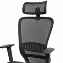 Neva Elevate Ergonomic Chair