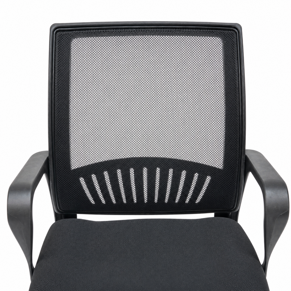 Neva Loop Ergonomic Chair