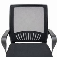 Neva Loop Ergonomic Chair
