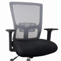 Neva Rise Ergonomic Chair
