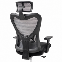 Neva Edge Executive Office Chair