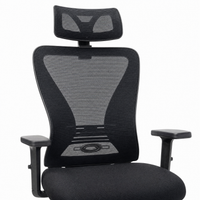 Neva Align Pro breathable mesh back and adjustable lumbar support