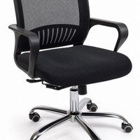 Neva Loop Ergonomic Chair
