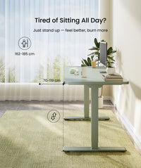 Neva X FlexiSpot E1 Pro Electric Standing Desk ( Dual Motor )