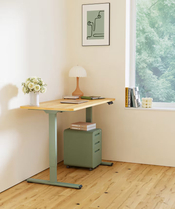 Neva X FlexiSpot E1 Pro Electric Standing Desk ( Dual Motor ) – product image 6
