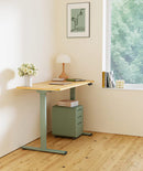 Neva X FlexiSpot E1 Pro Electric Standing Desk ( Dual Motor )