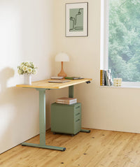 Neva X FlexiSpot E1 Pro Electric Standing Desk ( Dual Motor )