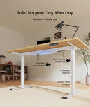 Neva X FlexiSpot E1 Pro Electric Standing Desk ( Dual Motor )