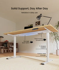 Neva X FlexiSpot E1 Pro Electric Standing Desk ( Dual Motor )