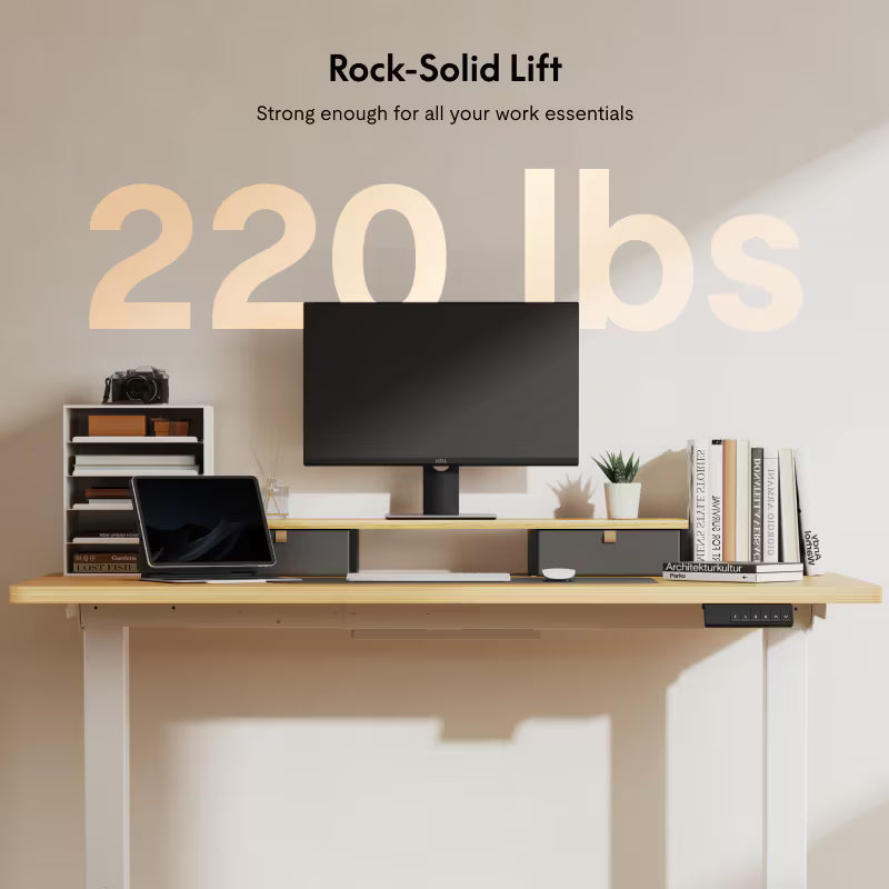Neva X FlexiSpot E5 Electric Pro Standing Desk ( Dual Motor 3 Stage ) – product image 3