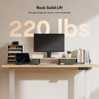 Neva X FlexiSpot E5 Electric Pro Standing Desk