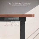 Neva X FlexiSpot E5 Electric Pro Standing Desk