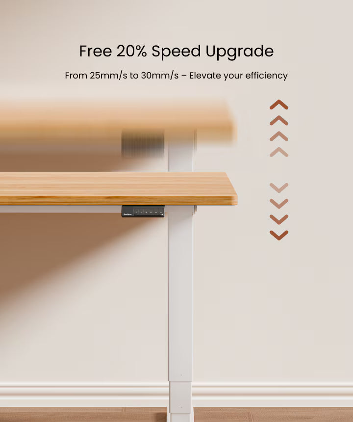 Neva X FlexiSpot E5 Electric Pro Standing Desk ( Dual Motor 3 Stage ) – product image 15
