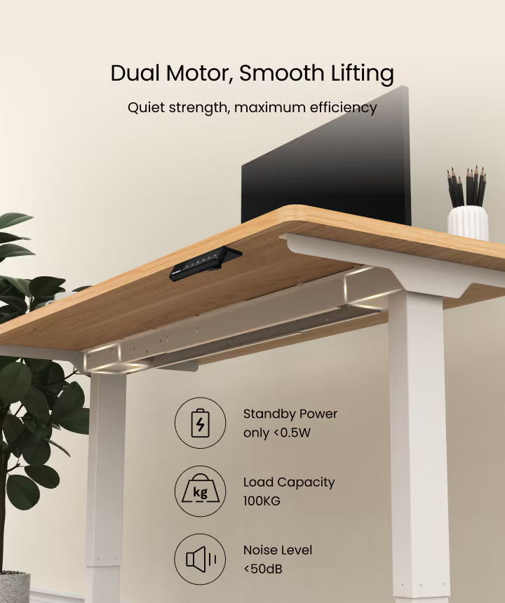 Neva X FlexiSpot E5 Electric Pro Standing Desk ( Dual Motor 3 Stage ) – product image 12