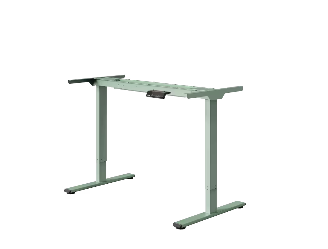Neva X FlexiSpot E1 Pro Electric Standing Desk ( Dual Motor )