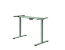 Neva X FlexiSpot E1 Pro Electric Standing Desk ( Dual Motor )