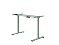 Neva X FlexiSpot E1 Pro Electric Standing Desk ( Dual Motor )