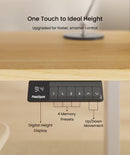 Neva X FlexiSpot E1 Pro Electric Standing Desk ( Dual Motor )