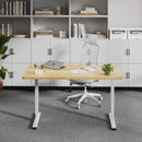 Neva X FlexiSpot E5 Electric Pro Standing Desk